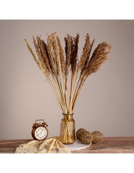 GloboStar® BROOMCORN 36554 Αποξηραμένο Φυτό Γλυκό Σόργο - Μπουκέτο Διακοσμητικών Κλαδιών Καφέ Υ80cm