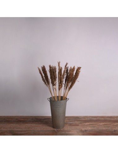 GloboStar® BROOMCORN 36555 Αποξηραμένο Φυτό...