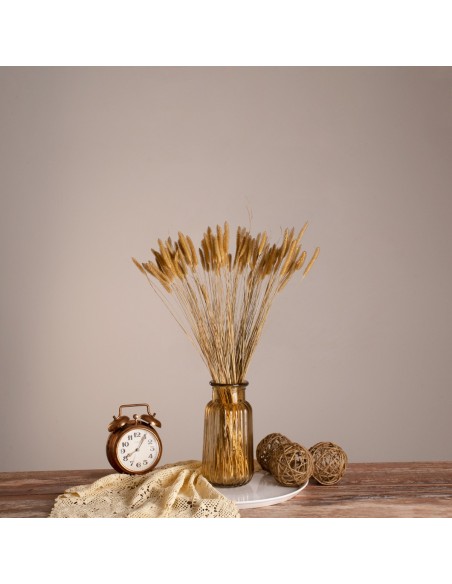 GloboStar® SETARIA 36557 Αποξηραμένο Φυτό Σεταρία - Μπουκέτο Διακοσμητικών Κλαδιών Μπεζ Υ60cm