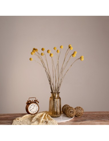 GloboStar® GRASPEDIA 36533 Αποξηραμένο Φυτό...