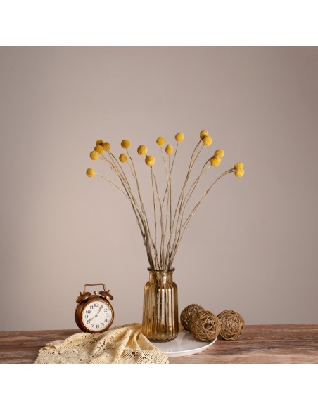 GloboStar® GRASPEDIA 36533 Αποξηραμένο Φυτό Κρασπέδια Φ3cm - Μπουκέτο Διακοσμητικών Κλαδιών Μπεζ - Κίτρινο Υ70cm