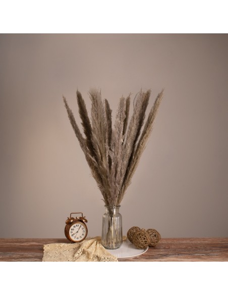 GloboStar® PAMPASGRASS 36511 Αποξηραμένο Φυτό Γρασίδι της Πάμπας - Μπουκέτο Διακοσμητικών Κλαδιών Καφέ - Γκρι Υ80cm