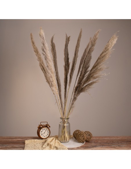 GloboStar® PAMPASGRASS 36512 Αποξηραμένο Φυτό Γρασίδι της Πάμπας - Μπουκέτο Διακοσμητικών Κλαδιών Καφέ - Γκρι Υ100cm