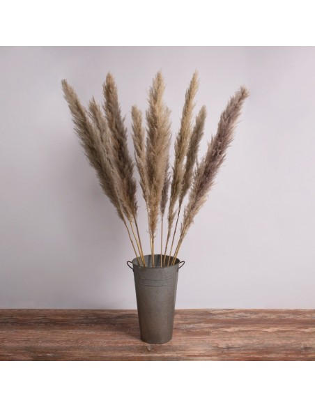 GloboStar® PAMPASGRASS 36514 Αποξηραμένο Φυτό Γρασίδι της Πάμπας - Μπουκέτο Διακοσμητικών Κλαδιών Καφέ - Γκρι Υ150cm
