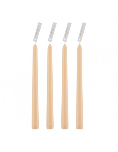 GloboStar® PINK-ORCHID 35205 ΣΕΤ 4 Αρωματικά...