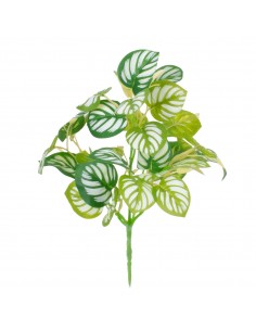 GloboStar® PEPEROMIA L.GREEN 78220 Τεχνητό Φυτό Πεπερόμια...