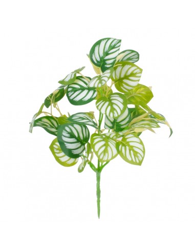 GloboStar® PEPEROMIA L.GREEN 78220 Τεχνητό Φυτό Πεπερόμια Αν.Πρ. - Μπουκέτο Διακοσμητικών Φυτών - Κλαδιών με Φύλλωμα Πράσινο - Κίτρινο - Λευκό Υ28cm