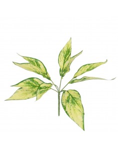 GloboStar® AUCUBA 78223 Τεχνητό Φυτό Κηληδωμένη Δάφνη -...