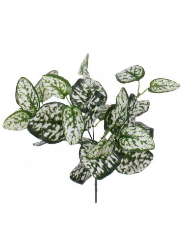 GloboStar® POLKA DOT PLANT 78259 Τεχνητό Φυτό Πόλκα - Μπουκέτο Διακοσμητικών Φυτών - Κλαδιών με Φύλλωμα Πράσινο - Λευκό Υ33cm