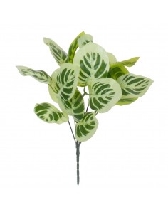 GloboStar® WHITE PEPEROMIA 78276 Τεχνητό Φυτό Πεπερόμια...