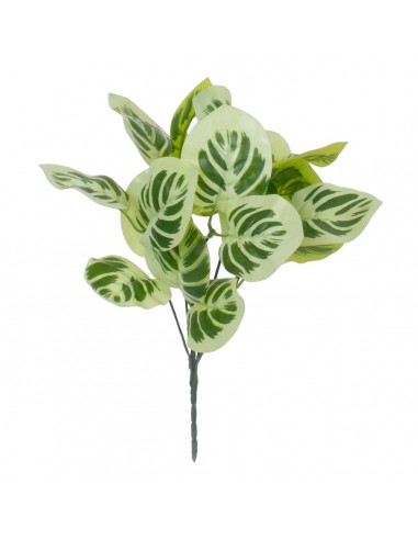 GloboStar® WHITE PEPEROMIA 78276 Τεχνητό Φυτό Πεπερόμια Λευκή - Μπουκέτο Διακοσμητικών Φυτών - Κλαδιών με Φύλλωμα Πράσινο - Λευκό Υ33cm