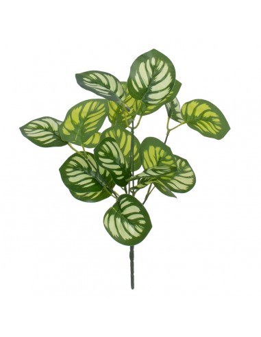 GloboStar® GREEN PEPEROMIA 78286 Τεχνητό Φυτό Πεπερόμια Πράσινη - Μπουκέτο Διακοσμητικών Φυτών - Κλαδιών με Φύλλωμα Πράσινο - Λευκό Υ33cm