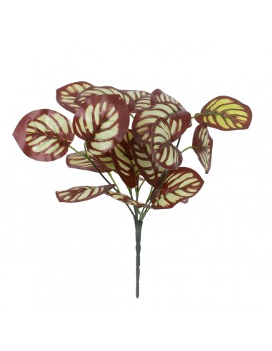 GloboStar® RED PEPEROMIA 78297 Τεχνητό Φυτό...
