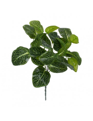 GloboStar® NERVE PLANT 78300 Τεχνητό Φυτό...