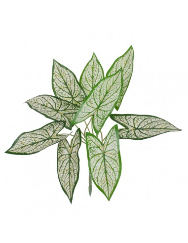 GloboStar® SYNGONIUM 78224 Τεχνητό Φυτό...