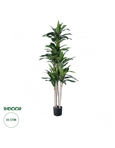 GloboStar® Artificial Garden DRACAENA SILK 20044 Τεχνητό...