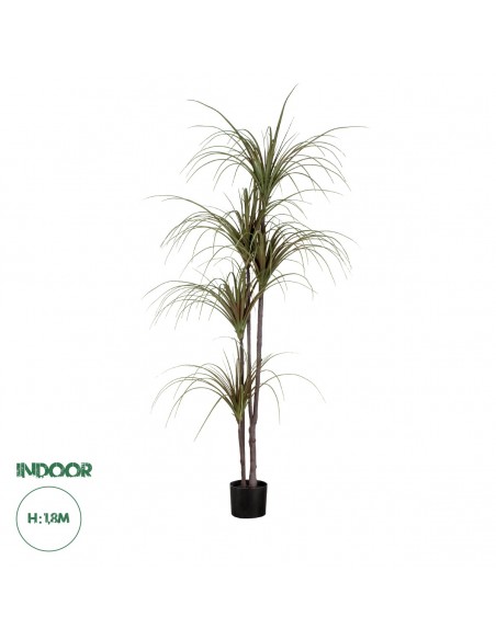 GloboStar® Artificial Garden DRAGON BLOOD TREE 20016...
