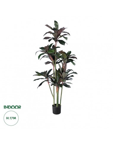 GloboStar® Artificial Garden MELANY FICUS 20041...
