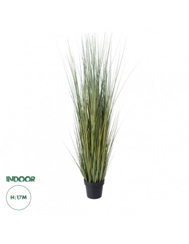 GloboStar® Artificial Garden PAMPAS GRASS 20072...