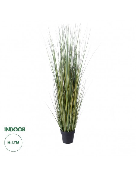 GloboStar® Artificial Garden PAMPAS GRASS 20072 Τεχνητό Διακοσμητικό Φυτό Γρασίδι της Πάμπας Υ170cm