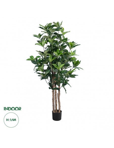 GloboStar® Artificial Garden FORTUNE GUIANA TREE 20056...
