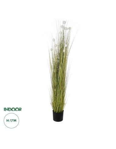 GloboStar® Artificial Garden ERIOPHORUM...