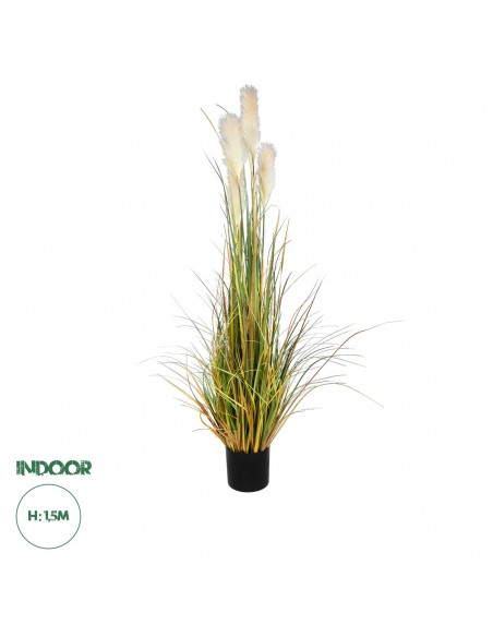 GloboStar® Artificial Garden PAMPAS GRASS 20108 Τεχνητό Διακοσμητικό Φυτό Γρασίδι της Πάμπας Υ150cm