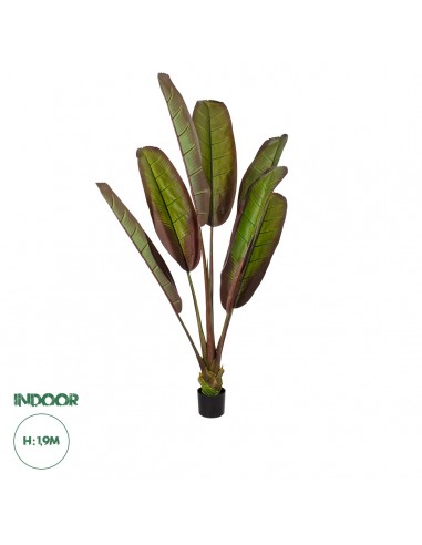 GloboStar® Artificial Garden BLOODY BANANA TREE...