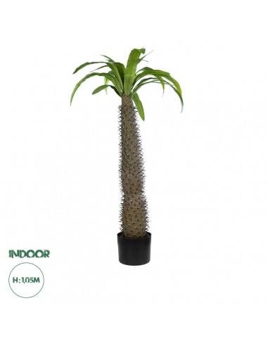 GloboStar® Artificial Garden PACHYPODIUM...