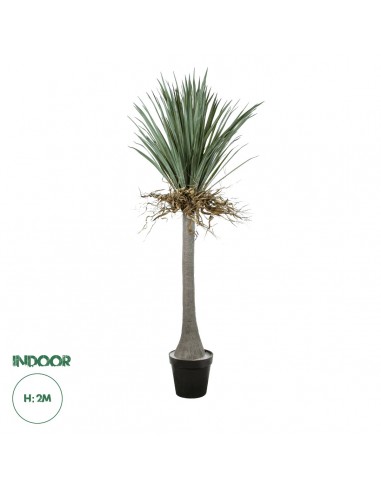 GloboStar® Artificial Garden BEAUCARNEA PALM...
