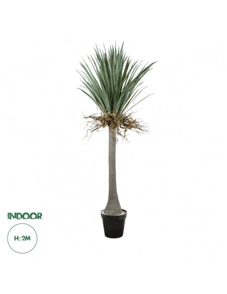 GloboStar® Artificial Garden BEAUCARNEA PALM TREE 20047 Τεχνητό Διακοσμητικό Φυτό Κυρτόφυλλος Μπουκαρνέα Υ200cm