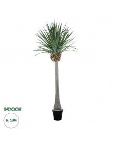 GloboStar® Artificial Garden BEAUCARNEA PALM TREE 20048...