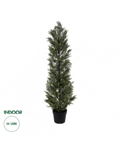 GloboStar® Artificial Garden LEMON CYPRESS...