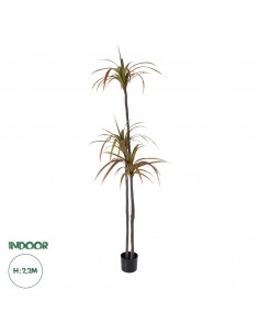 GloboStar® Artificial Garden DRAGON BLOOD TREE 20371...