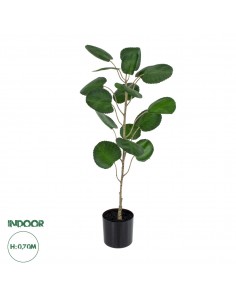GloboStar® Artificial Garden POLYSCIAS BALFOURIANA TREE...