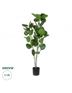 GloboStar® Artificial Garden POLYSCIAS BALFOURIANA TREE...