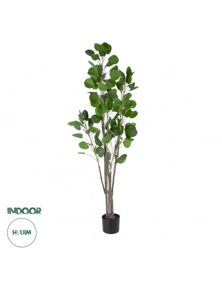 GloboStar® Artificial Garden POLYSCIAS BALFOURIANA TREE 20375 Τεχνητό Διακοσμητικό Φυτό Πολυσκιά Υ180cm