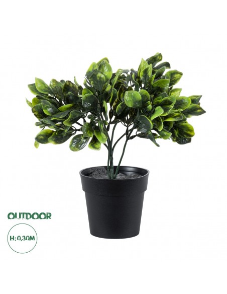GloboStar® Artificial Garden ANUBIA BARTERI 20390 Τεχνητό Διακοσμητικό Φυτό Ανούμπια Υ30cm
