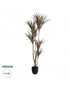 GloboStar® Artificial Garden DRAGON BLOOD TREE 20970...