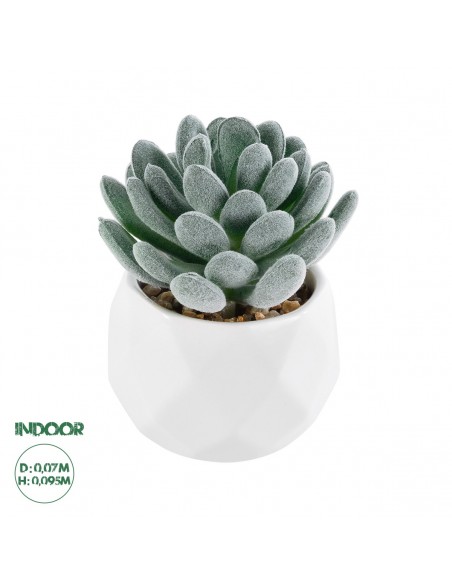 GloboStar® Artificial Garden SUCCULENT SEDEVERIA 21001 Διακοσμητικό Φυτό Παχύφυτο Σεντεβέρια Υ9.5cm