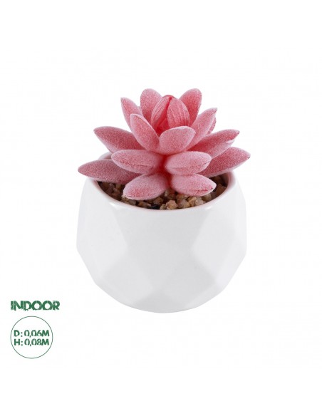 GloboStar® Artificial Garden SUCCULENT SEDEVERIA 20981...