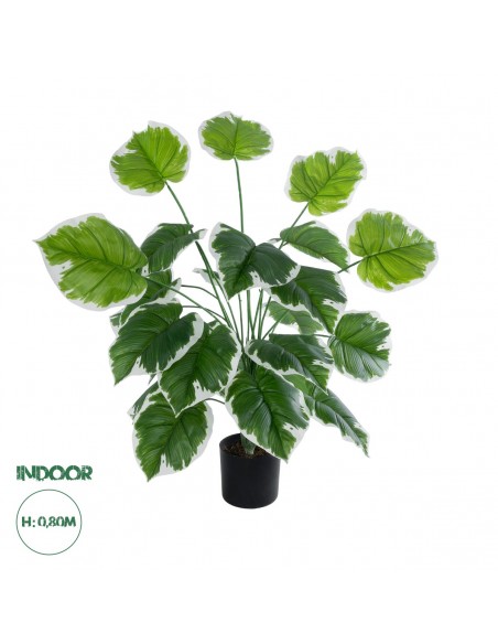 GloboStar® Artificial Garden WHITE HOSTA 20920 Διακοσμητικό Φυτό Λευκή Χόστα Υ80cm