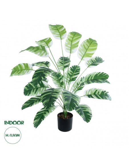 GloboStar® Artificial Garden BANANA ZEBRA 20918 Διακοσμητικό Φυτό Μπανανιά Ζέβρα Υ80cm