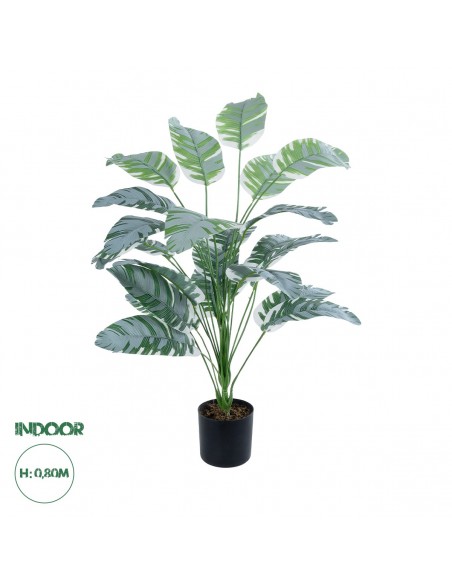 GloboStar® Artificial Garden BANANA ZEBRA 20919...