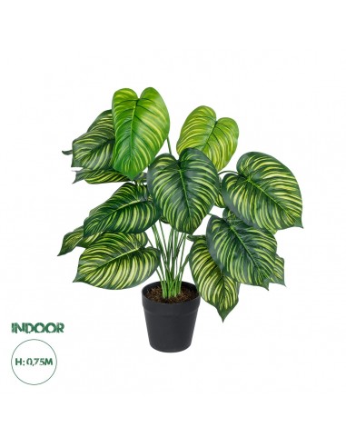 GloboStar® Artificial Garden CALATHEA 20912...