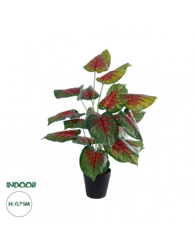 GloboStar® Artificial Garden CALADIUM MIX 20911...