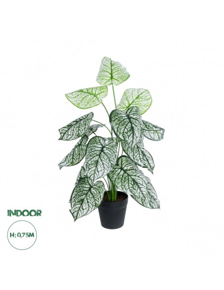 GloboStar® Artificial Garden CALADIUM 20908 Διακοσμητικό Φυτό Καλάδια Υ75cm