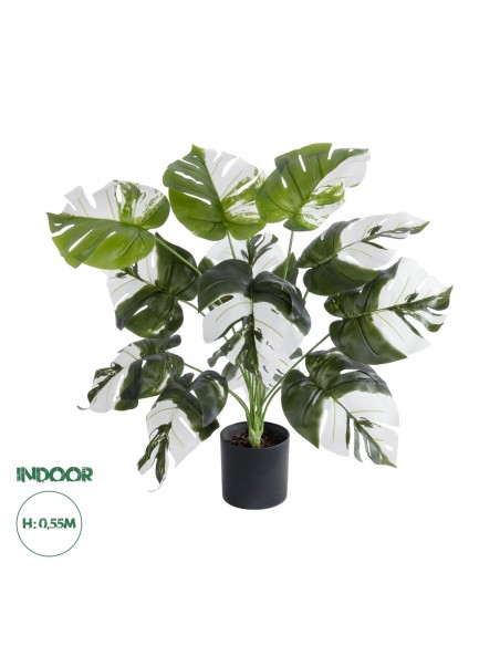 GloboStar® Artificial Garden ALBINO MONSTERA 20935...