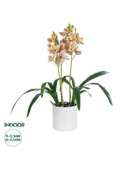 GloboStar® Artificial Garden CHAMPAGNE CHERRY CYMBIDIUM...