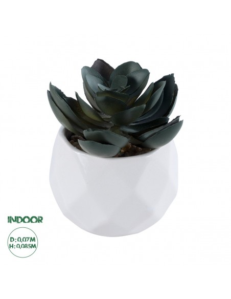 GloboStar® Artificial Garden SUCCULENT ECHEVERIA 20990...